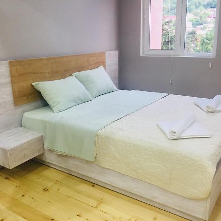 Diasamidzeebi Apartment Borjomi Esterno foto