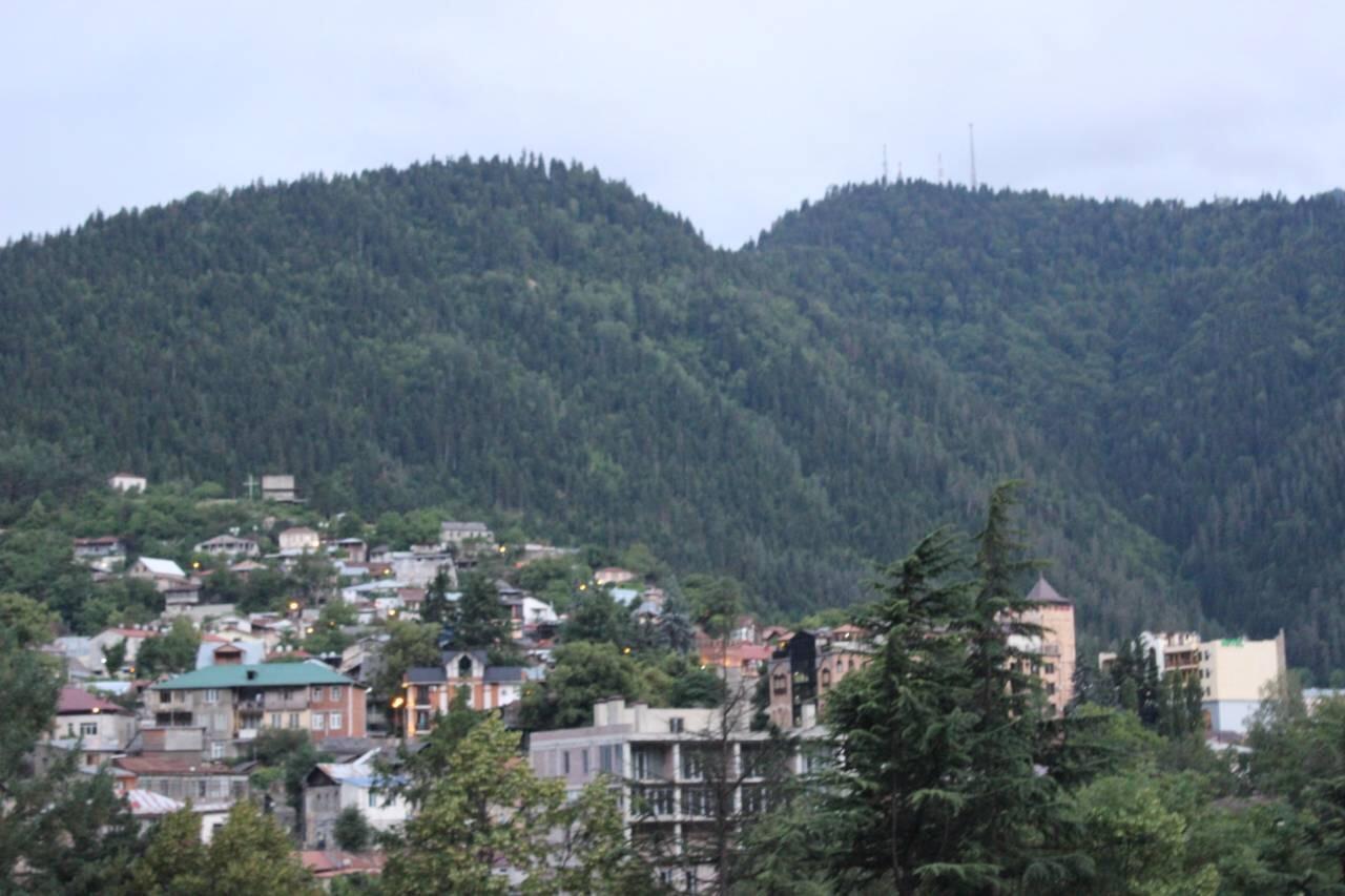Diasamidzeebi Apartment Borjomi Esterno foto