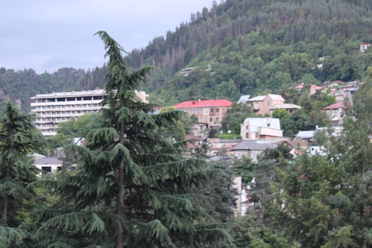 Diasamidzeebi Apartment Borjomi Esterno foto