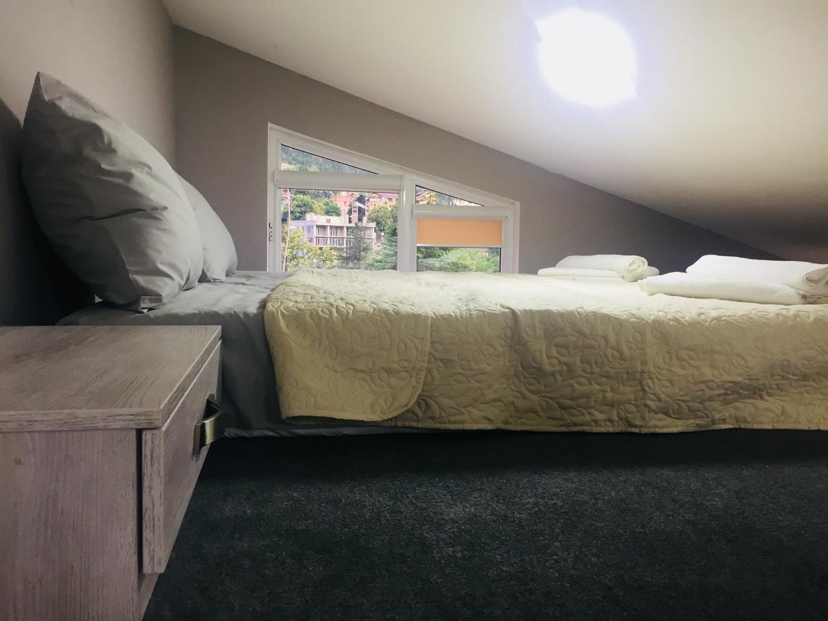 Diasamidzeebi Apartment Borjomi Esterno foto