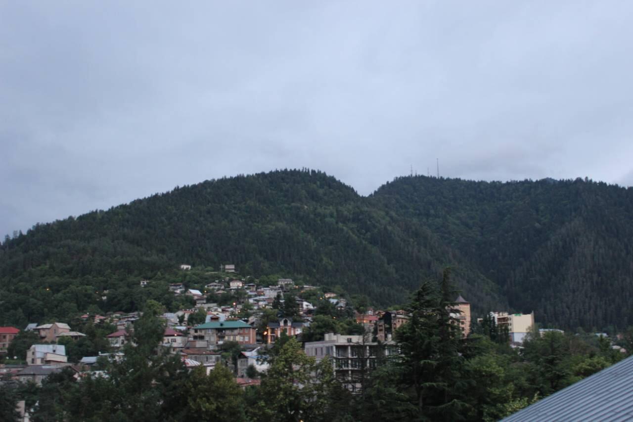 Diasamidzeebi Apartment Borjomi Esterno foto