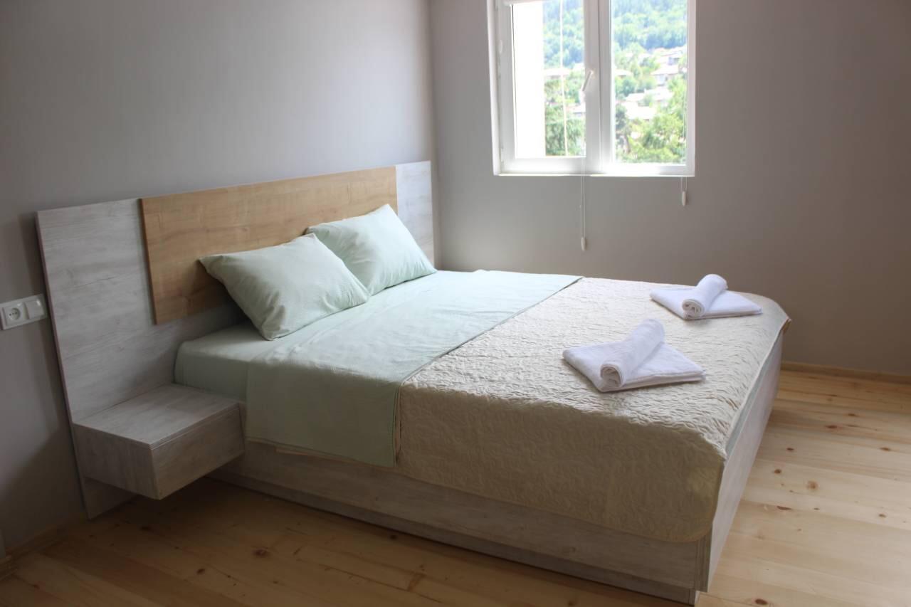 Diasamidzeebi Apartment Borjomi Esterno foto