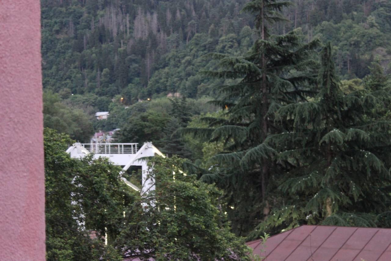 Diasamidzeebi Apartment Borjomi Esterno foto
