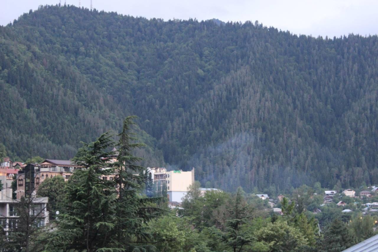 Diasamidzeebi Apartment Borjomi Esterno foto